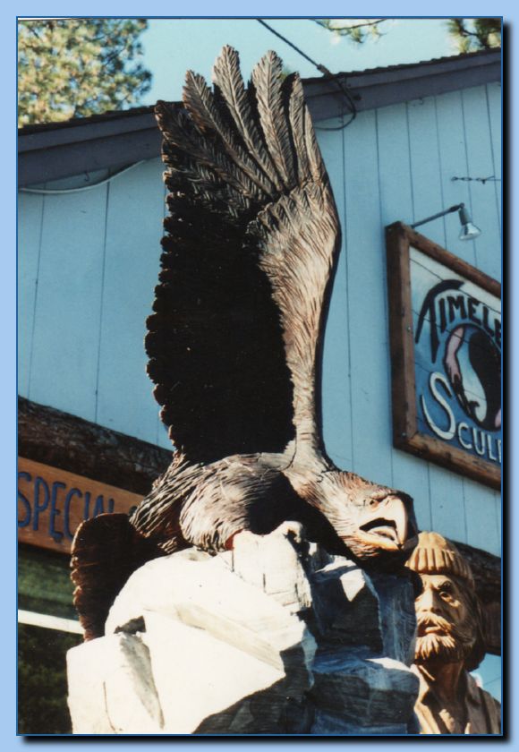 2-09 eagle  perched-archiv-0002
